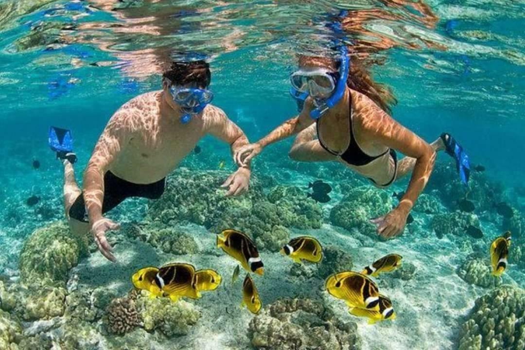 Hotel Dolphin Hikkaduwa Bagian luar foto
