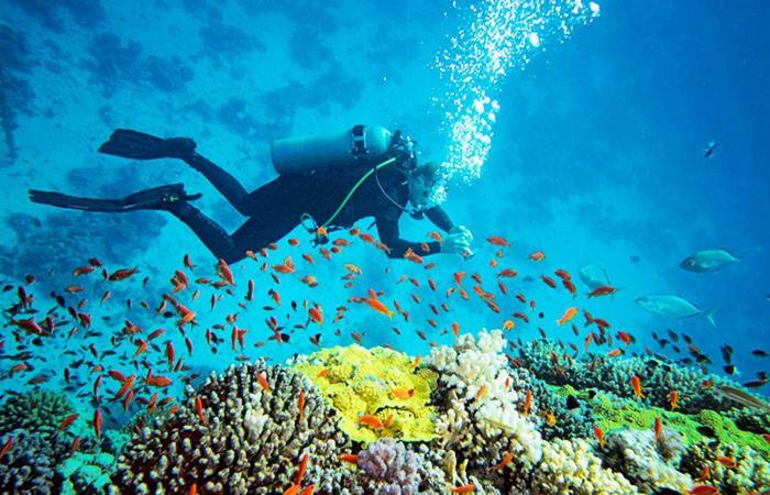 Hotel Dolphin Hikkaduwa Bagian luar foto
